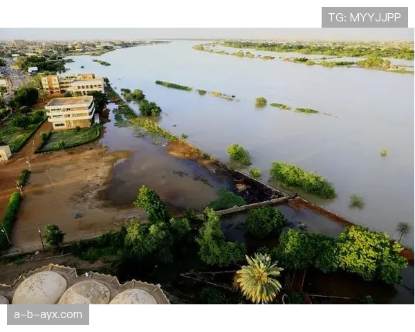 苏丹尼罗河鳄鱼数量激增引发生态关注，专家呼吁加强监测与研究