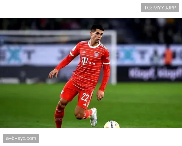 德甲新赛季揭幕,黑红荣耀强势崛起引瞩目 德甲新赛季揭幕,黑红荣耀强势崛起引瞩目