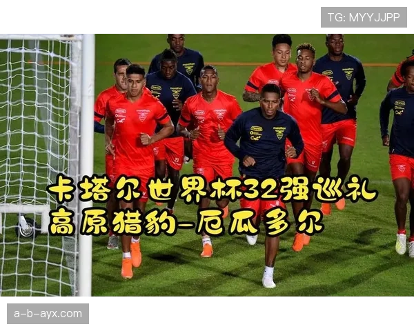 厄瓜多尔世界杯数据统计分析